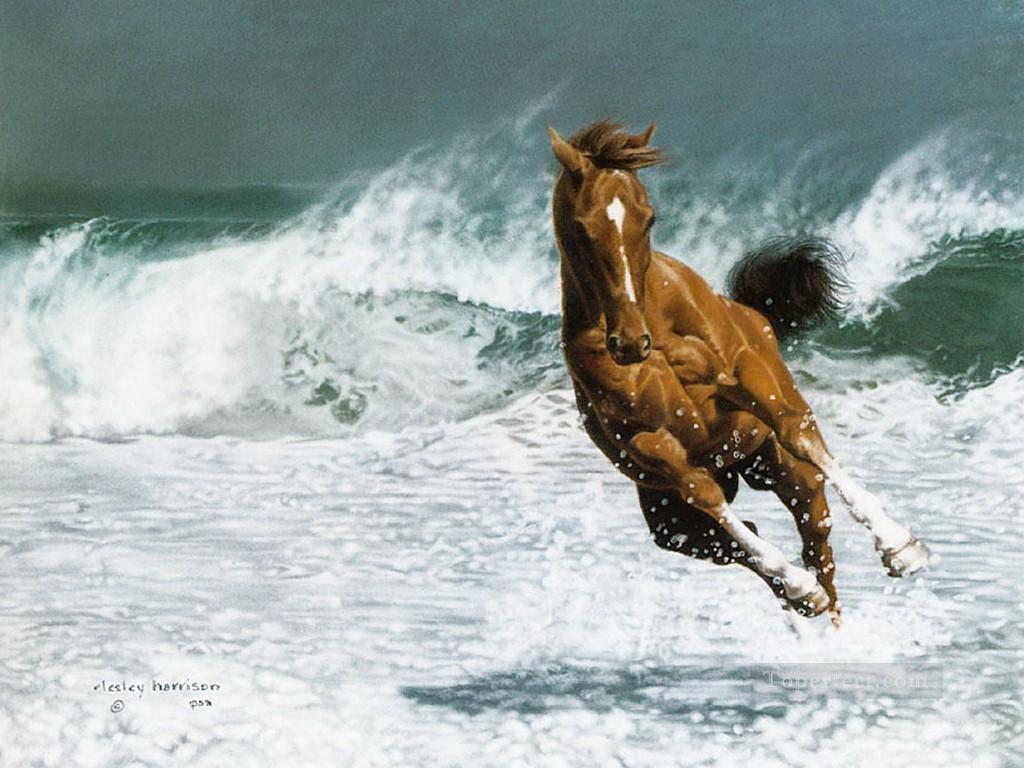 läuft pferd am Meer Ölgemälde